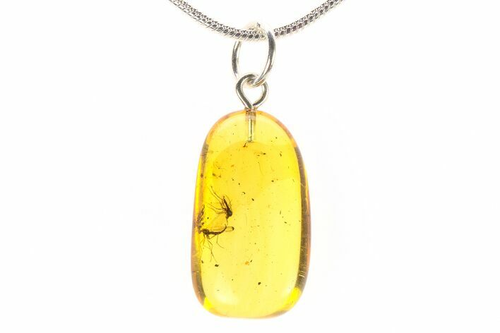 Polished Baltic Amber Pendant (Necklace) - Contains Two Flies! #288864